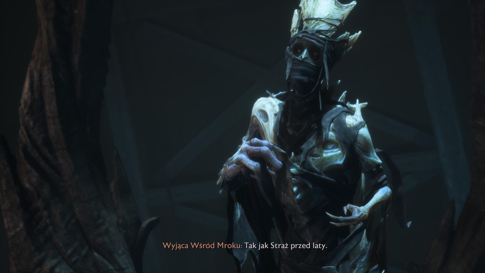 Dragon Age: The Veilguard