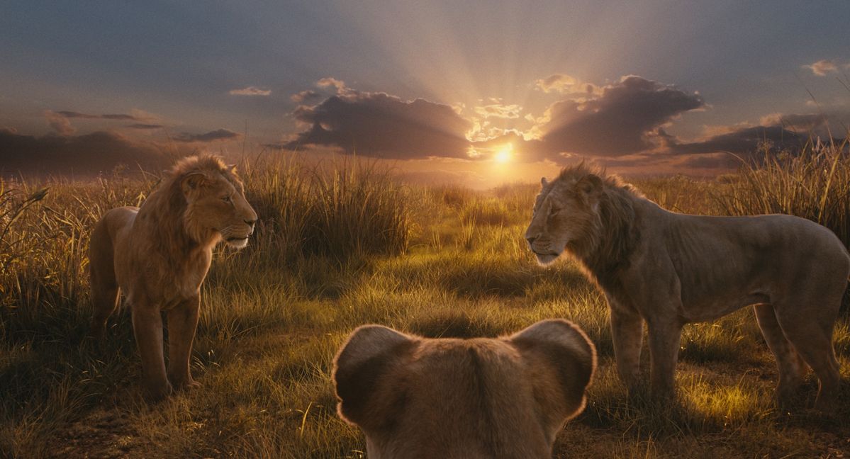 Zdjęcie okładkowe wpisu Mufasa: Król Lew wkrótce na 4K UHD, Blu-ray i DVD
