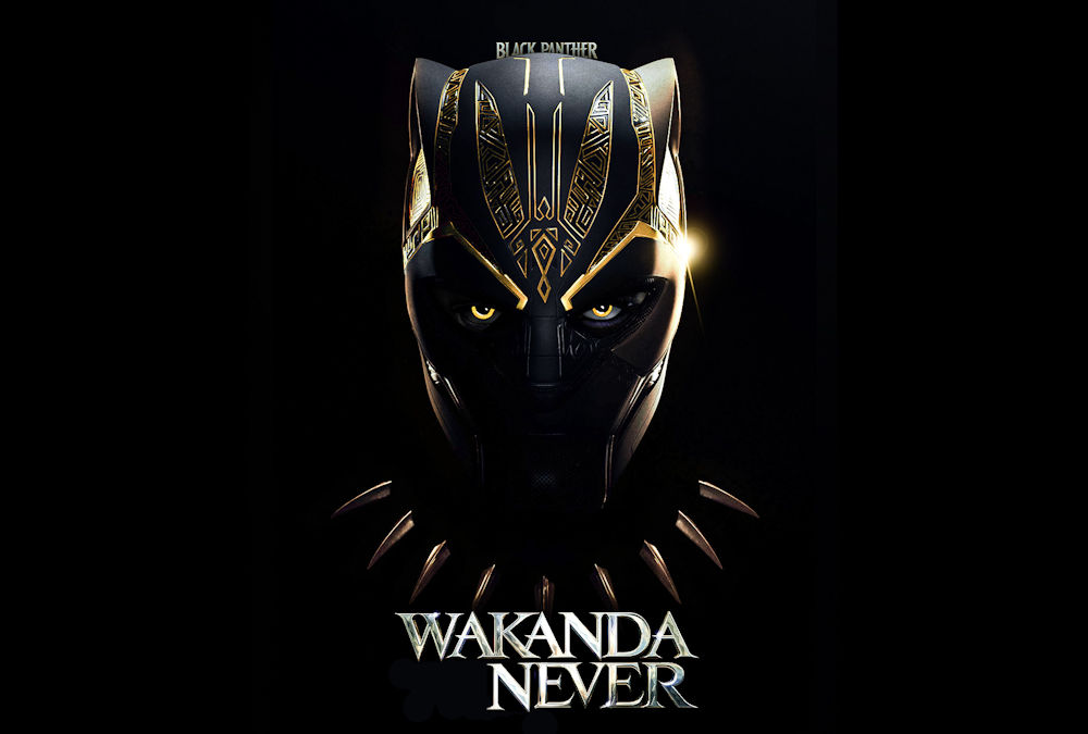 Zdjęcie okładkowe wpisu EA zamyka Cliffhanger Games i anuluje grę Black Panther