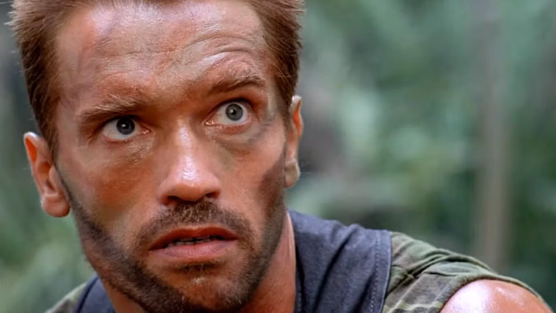 Zdjęcie okładkowe wpisu Arnold Schwarzenegger zapowiada powrót do kultowych ról. „Conan 3”, „Commando 2” i nowy „Predator” w planach?